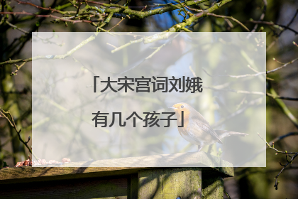 大宋宫词刘娥有几个孩子