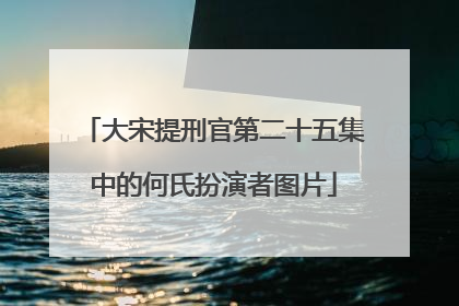 大宋提刑官第二十五集中的何氏扮演者图片