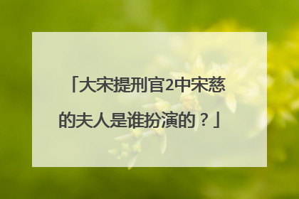 大宋提刑官2中宋慈的夫人是谁扮演的？