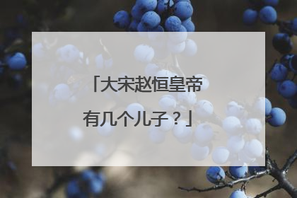 大宋赵恒皇帝有几个儿子?