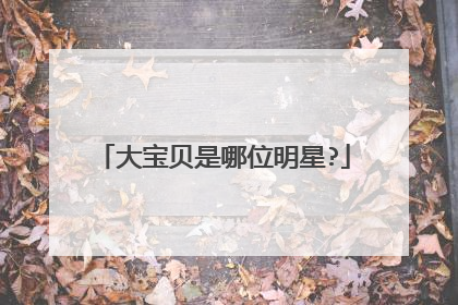 大宝贝是哪位明星?