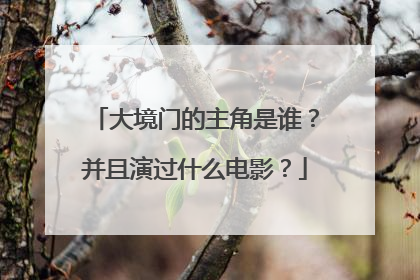 大境门的主角是谁？并且演过什么电影？