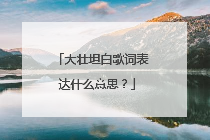 大壮坦白歌词表达什么意思？