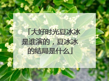 大好时光夏冰冰是谁演的,夏冰冰的结局是什么