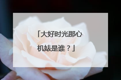 大好时光那心机婊是谁？