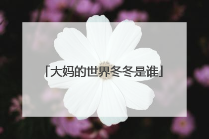 大妈的世界冬冬是谁