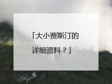 大小贾斯汀的详细资料？