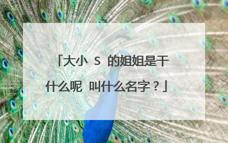 大小 S 的姐姐是干什么呢 叫什么名字?