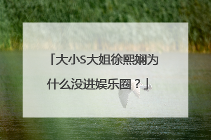 大小S大姐徐熙娴为什么没进娱乐圈?