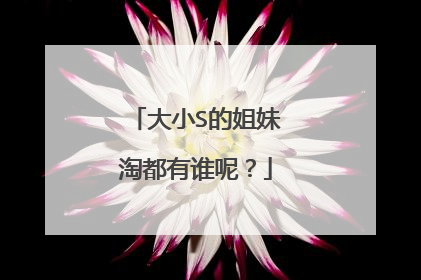 大小S的姐妹淘都有谁呢?