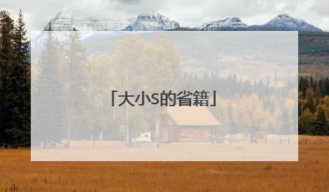 大小S的省籍