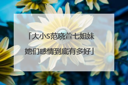 大小S范晓萱七姐妹 她们感情到底有多好