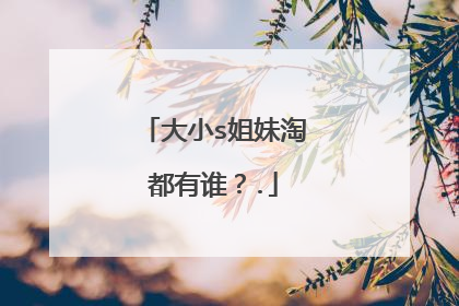 大小s姐妹淘都有谁?.