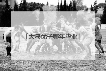 大岛优子哪年毕业