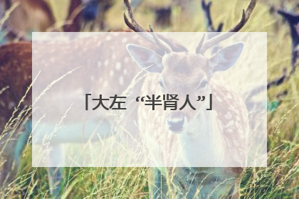 大左 “半肾人”