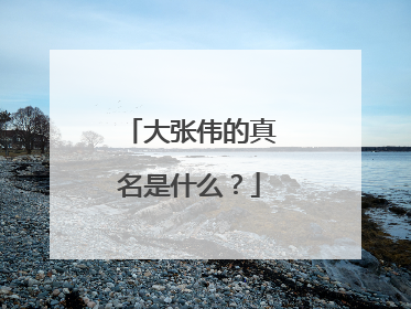 大张伟的真名是什么?