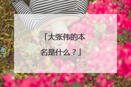 大张伟的本名是什么？