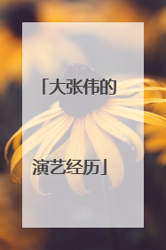 大张伟的演艺经历