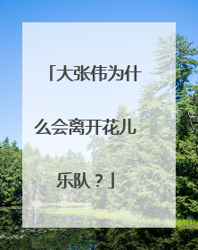大张伟为什么会离开花儿乐队？
