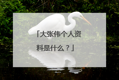 大张伟个人资料是什么？