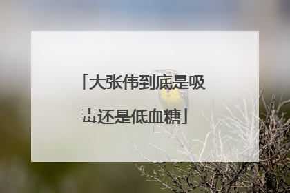 大张伟到底是吸毒还是低血糖