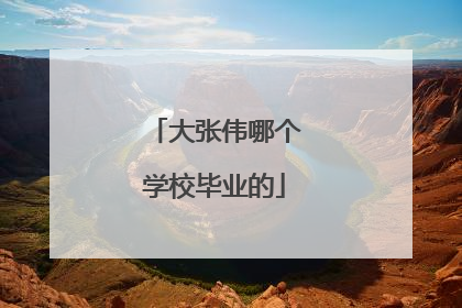 大张伟哪个学校毕业的