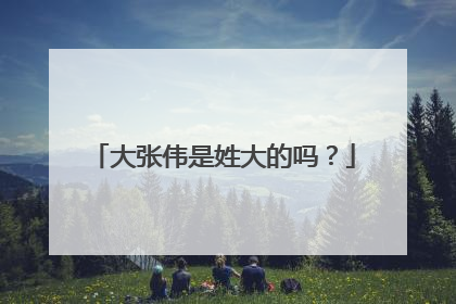 大张伟是姓大的吗？