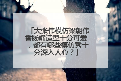 大张伟模仿梁朝伟香肠嘴造型十分可爱，都有哪些模仿秀十分深入人心？