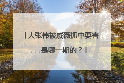 大张伟被戚薇抓中要害...是哪一期的?