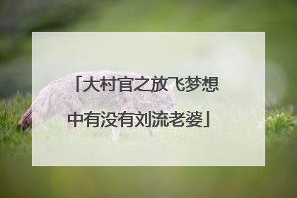 大村官之放飞梦想中有没有刘流老婆