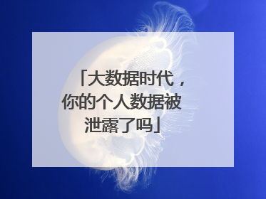 大数据时代，你的个人数据被泄露了吗