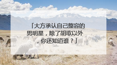 大方承认自己整容的男明星，除了胡歌以外，你还知道谁？