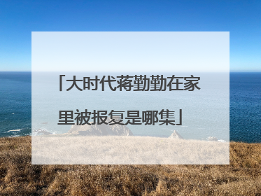大时代蒋勤勤在家里被报复是哪集