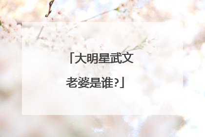 大明星武文老婆是谁?