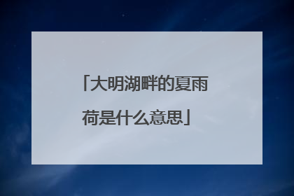 大明湖畔的夏雨荷是什么意思