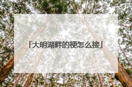 大明湖畔的梗怎么接