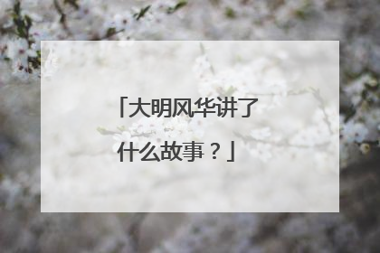 大明风华讲了什么故事?