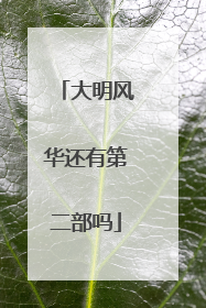大明风华还有第二部吗
