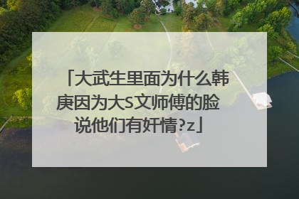 大武生里面为什么韩庚因为大S文师傅的脸说他们有奸情?z
