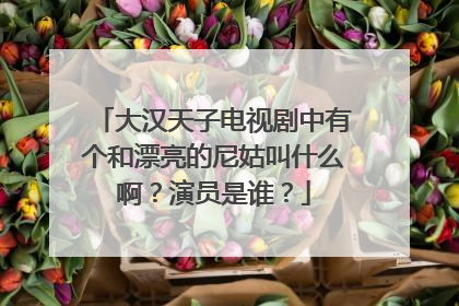 大汉天子电视剧中有个和漂亮的尼姑叫什么啊？演员是谁？