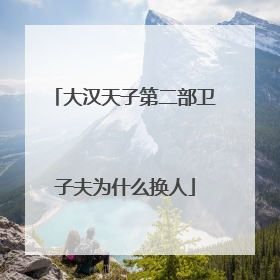 大汉天子第二部卫子夫为什么换人