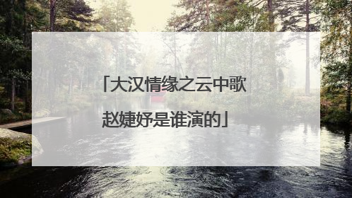 大汉情缘之云中歌赵婕妤是谁演的