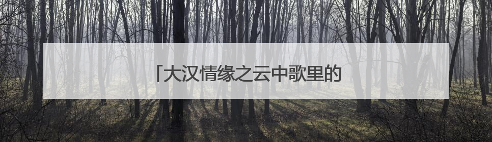大汉情缘之云中歌里的云歌最后和谁在一起了