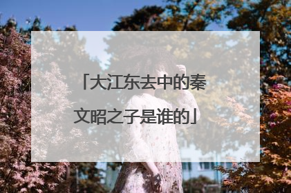 大江东去中的秦文昭之子是谁的