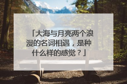 大海与月亮两个浪漫的名词相遇，是种什么样的感觉？