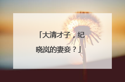 大清才子,纪晓岚的妻妾?