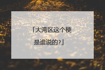 大湾区这个梗是谁说的?