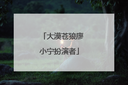 大漠苍狼廖小宁扮演者