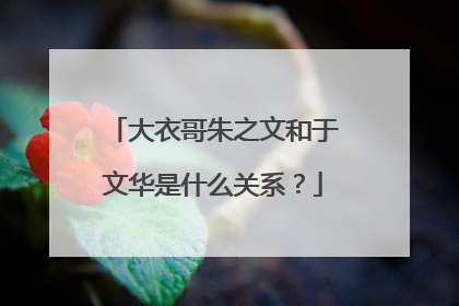 大衣哥朱之文和于文华是什么关系？