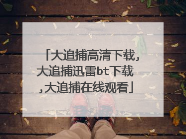 大追捕高清下载,大追捕迅雷bt下载,大追捕在线观看